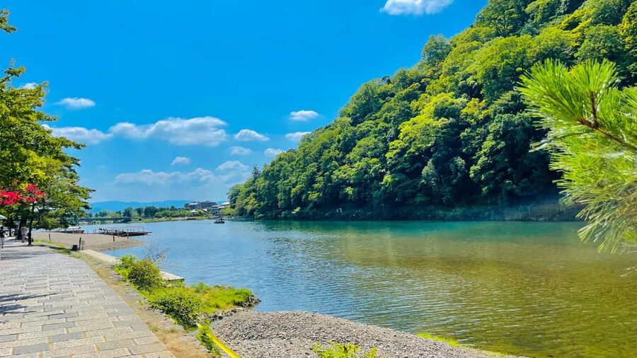 Kyoto Day Tour with Certified Tour Guide & Luxury vehicle - Gion: traditional streets in a short walk