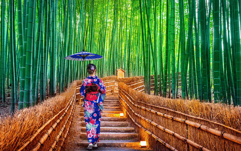 Kyoto Day Tour with Certified Tour Guide & Luxury vehicle - A private route that can bend to your interests
