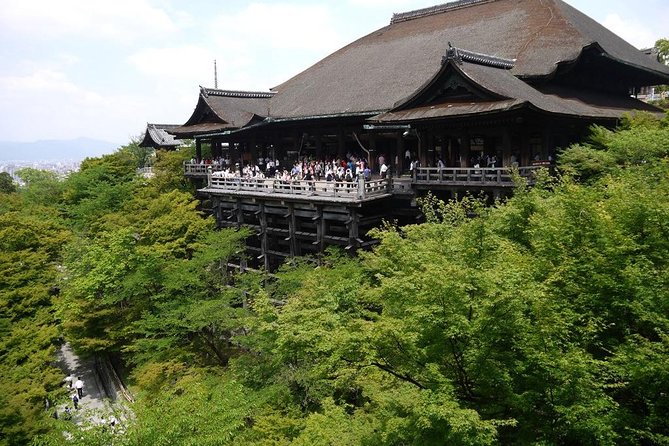 Kyoto Day Trip using Private Car with English Driver (up to 5) - Fushimi Inari-taisha and its torii gates