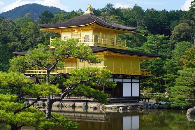 Kyoto Day Trip using Private Car with English Driver (up to 5) - Arashiyama and its bamboo forest