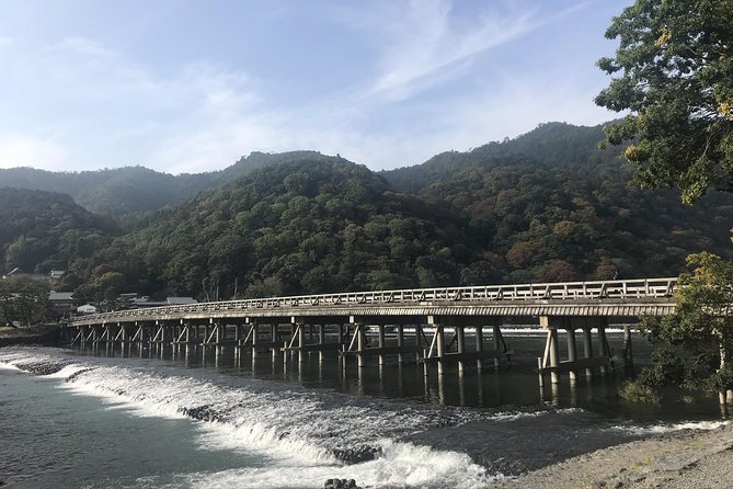 Kyoto: Descending Arashiyama (Private) - Gio-ji offers moss, bamboo, and a short visit