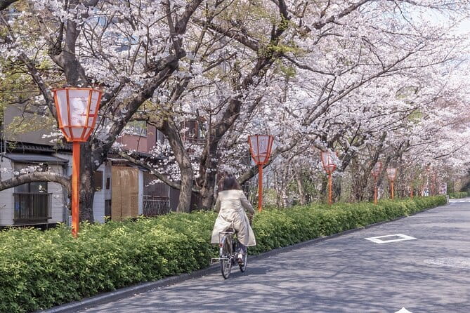 Kyoto E-Bike Tour of Hidden Gems, Backstreets and Temples - Why an e-bike works so well in Kyoto