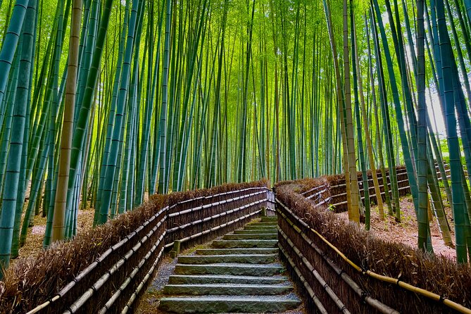 Kyoto Early Bird English Tour: Fushimi-Inari and Arashiyama - What the guide adds to a do-it-yourself morning
