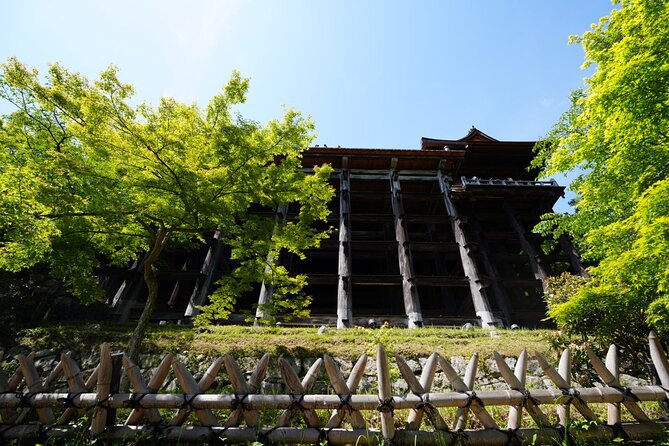 Kyoto Early Morning E Biking Tour Fushimi Inari Kiyomizu Temple - Guide style and the value of a small group