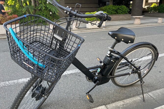 Kyoto Early Morning E Biking Tour Fushimi Inari Kiyomizu Temple - Who will enjoy this ride most?