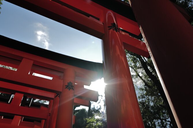 Kyoto Early Morning Tour with English-Speaking Guide - Weather, timing, and what to bring
