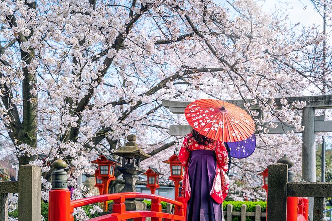 Kyoto Full Day (8 hours) Ultimate Sightseeing Private Tour - Why the guide can make or break the day
