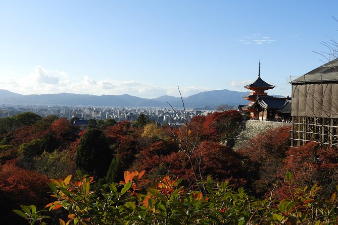 Kyoto Full Day (8 hours) Ultimate Sightseeing Private Tour - How flexible is the route?