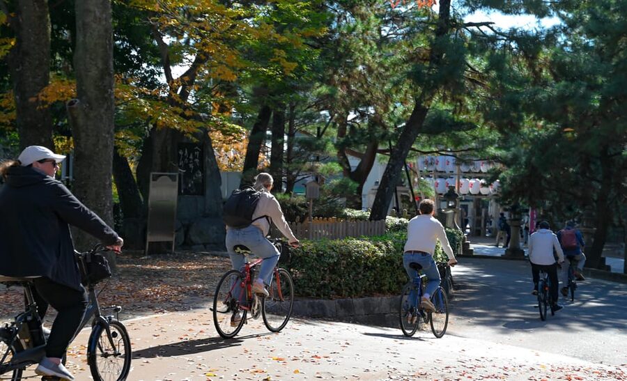 Kyoto: Full Day Bike Tour - Lunch is a real part of the value