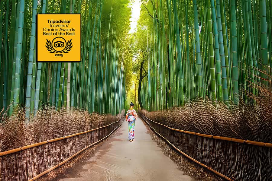 Kyoto: Fushimi, Arashiyama - Bamboo, Monkey, Torii & Secrets - Key points to know before booking