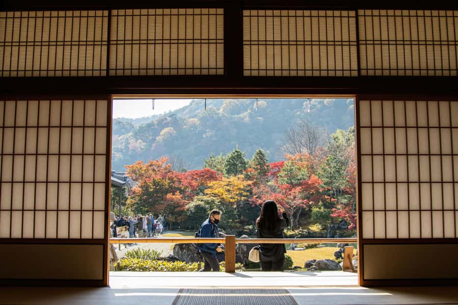 Kyoto: Fushimi, Arashiyama - Bamboo, Monkey, Torii & Secrets - The Arashiyama Bamboo Grove