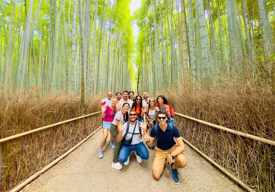 Kyoto: Fushimi, Arashiyama - Bamboo, Monkey, Torii & Secrets - What the guides add