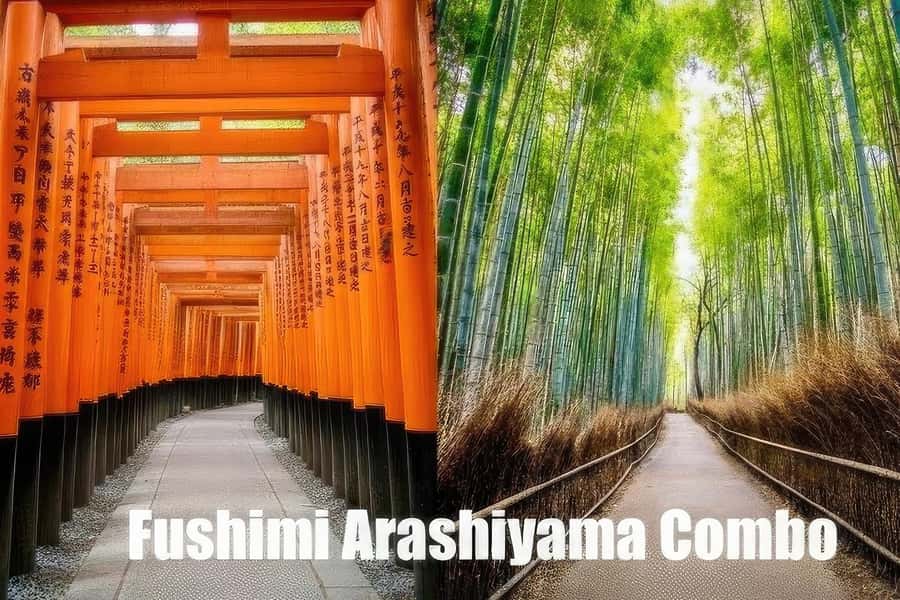 Kyoto: Fushimi, Arashiyama - Bamboo, Monkey, Torii & Secrets - Starting at Fushimi Inari Station