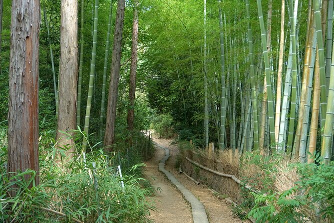 Kyoto: Fushimi Inari Hidden Hike (Private) - Reaching the Senbon Torii Gates