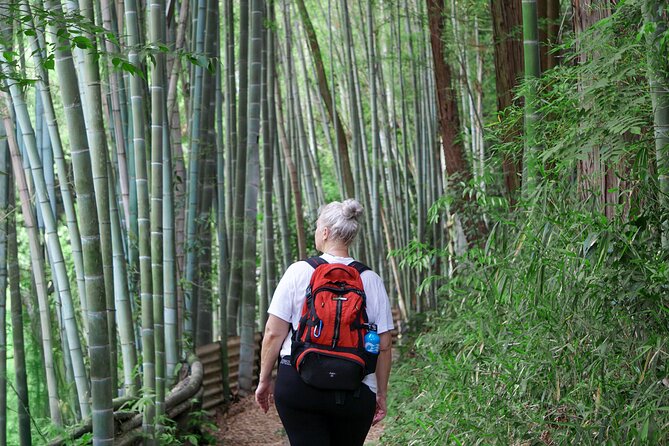 Kyoto: Fushimi Inari Hidden Hike (Private) - What the private guide adds