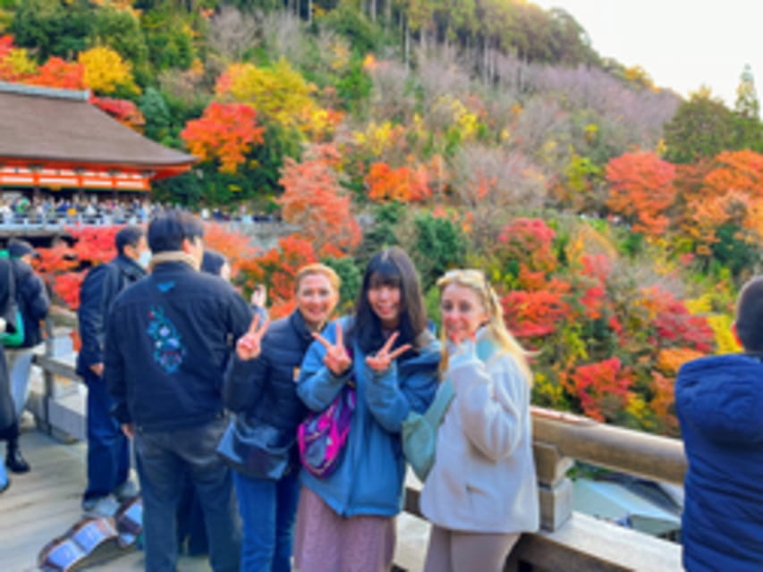 Kyoto: Fushimi Inari, Kinkakuji, Bamboo Grove 1 Day Bus Tour - The guide and the comfort of the bus
