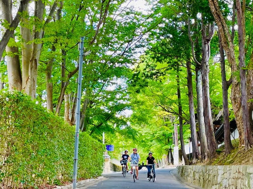 Kyoto: Fushimi Inari Shrine and Tofukuji Temple E-Bike Tour - Tofukuji offers a quieter Buddhist pause
