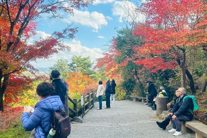 Kyoto: Geisha Dinner & Gion Cultural Walk - Practical tips for making the night work