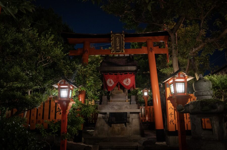 Kyoto: Geisha Dinner & Gion Cultural Walk - Who will enjoy this experience most