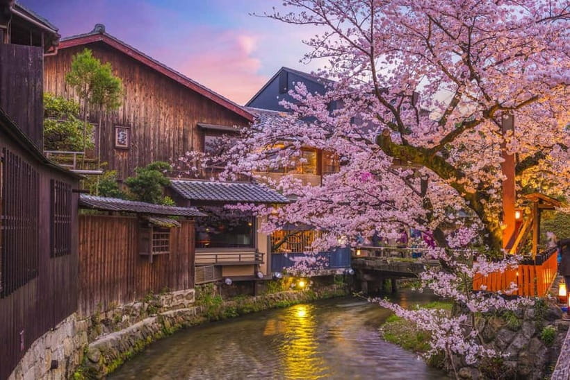 Kyoto Geisha Walking Tour: Gion District & Hidden Gems - Chion-in and the broader Kyoto story