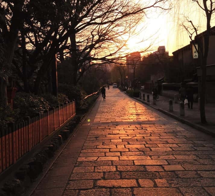 Kyoto Geisha Walking Tour: Gion District & Hidden Gems - Why the guide can make or break this walk