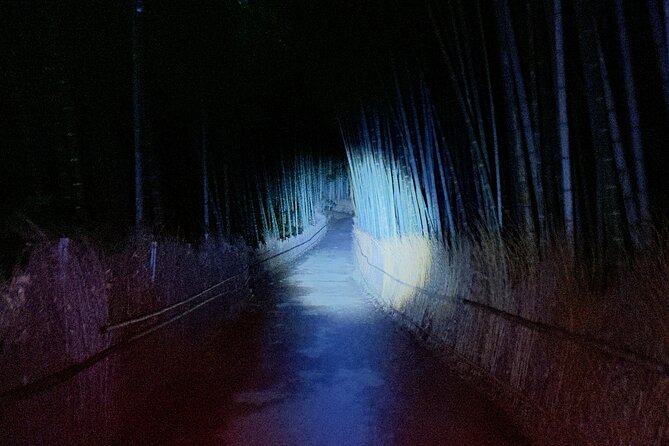 Kyoto Ghost Tour: Dark Tales, Urban Legends, Bamboo Forest Night - Arashiyama after dark, when the crowds are gone