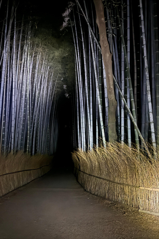 Kyoto: Ghost Tour - Legends, Dark Tales, Bamboo Forest Night - Meeting the guides at Saga-Arashiyama Station
