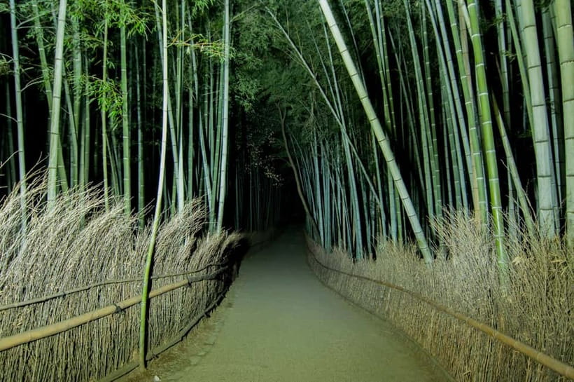 Kyoto: Ghost Tour - Legends, Dark Tales, Bamboo Forest Night - The solo walk is the real test