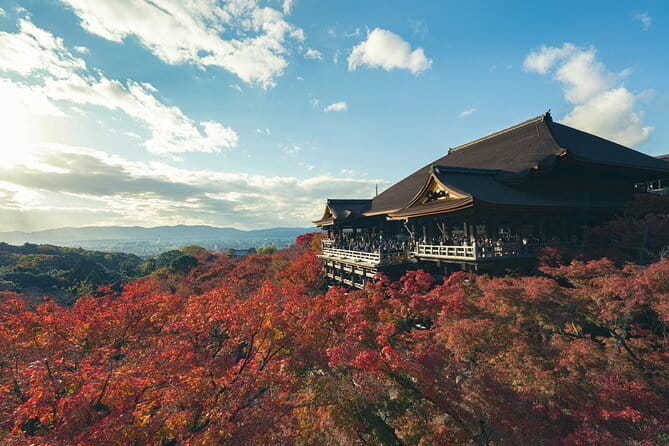 Kyoto Gion Early Morning Walking Tour - Gion Shirakawa and Hanamikoji Street