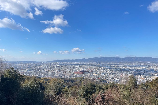 Kyoto Guided Walking Tour: Secret Zen Garden and Fushimi Inari - What the $78.83 price buys you