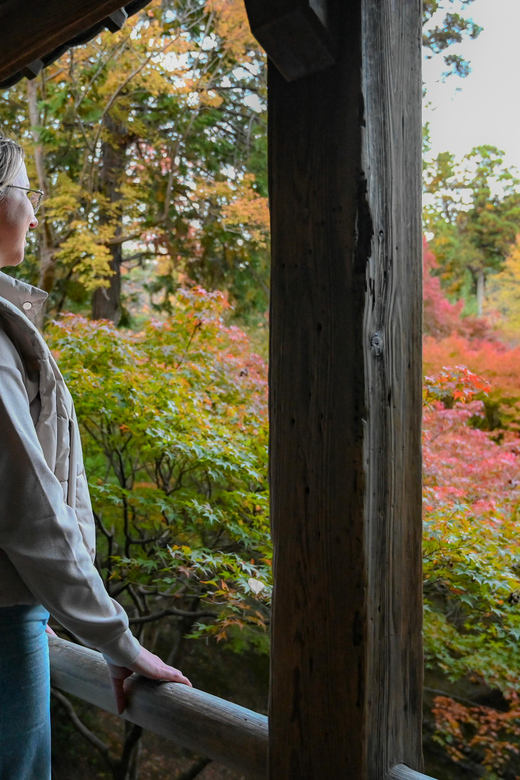 Kyoto: Half-day Guided Bike Tour with Fushimi Inari - Fushimi Inari and the orange torii gates