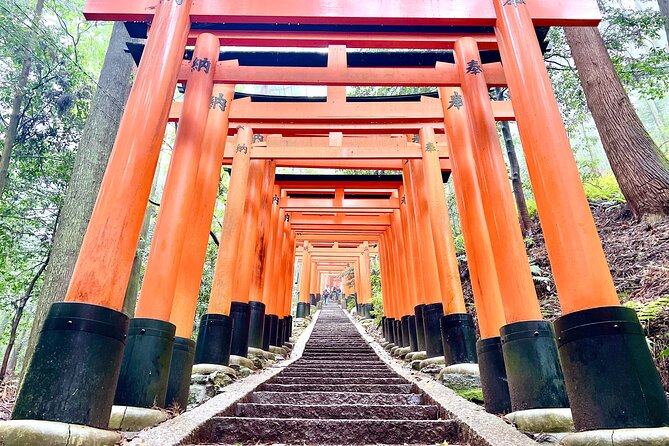 Kyoto Half Day Highlights Tour - Fushimi Inari’s orange torii gates
