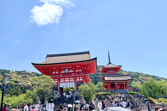 Kyoto Half Day Highlights Tour - What the guide adds to the experience