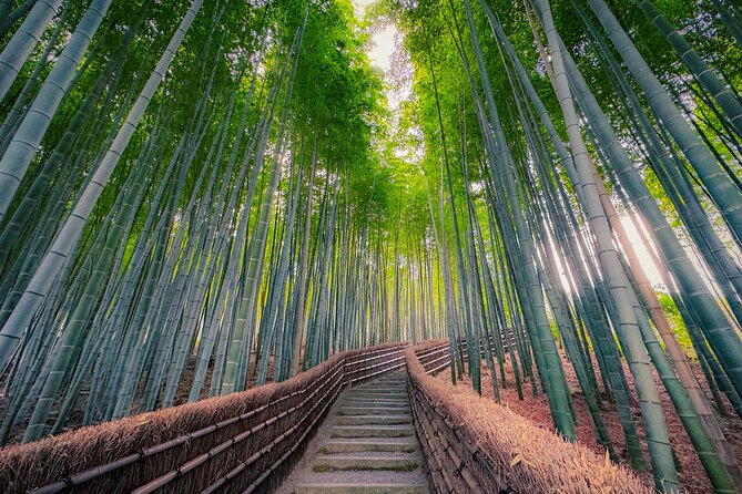 Kyoto Highlights & Hidden Gems in Nature (Private Van Eng-Guide) - Mountain roads and the Arashiyama-Takao Parkway