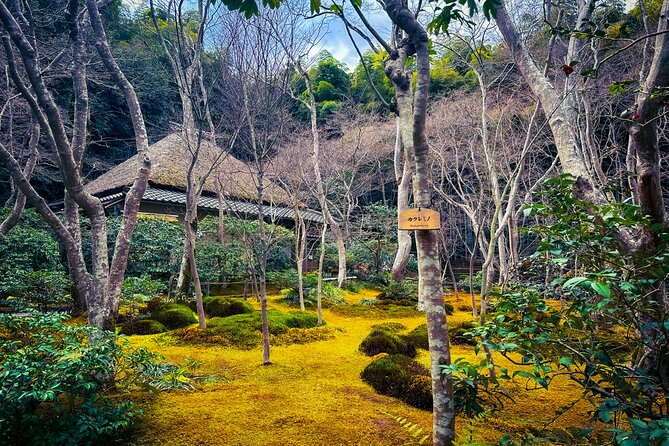 Kyoto Highlights & Hidden Gems in Nature (Private Van Eng-Guide) - Giant cedars and a local Shinto shrine