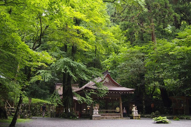 Kyoto Hiking Tour: The Nature and Legends of Kurama and Kibune - Yuki Shrine and its ancient cedar