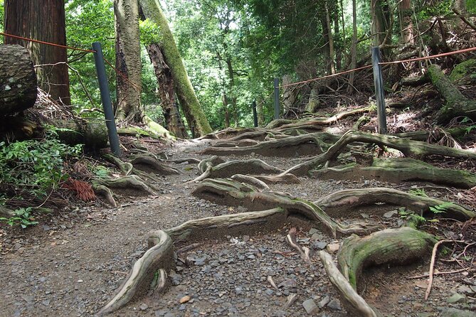Kyoto Hiking Tour: The Nature and Legends of Kurama and Kibune - The inner shrine and its boat legend