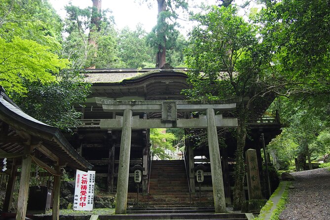 Kyoto Hiking Tour: The Nature and Legends of Kurama and Kibune - What the $191.60 price includes