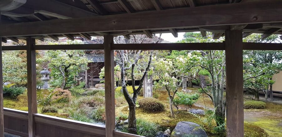 Kyoto: Immersive Arashiyama & Fushimi Inari by Private Car - The guides are a major part of the value