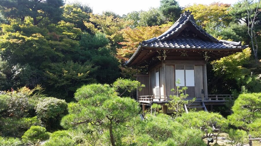 Kyoto: Immersive Arashiyama & Fushimi Inari by Private Car - Why a private car changes a Kyoto day