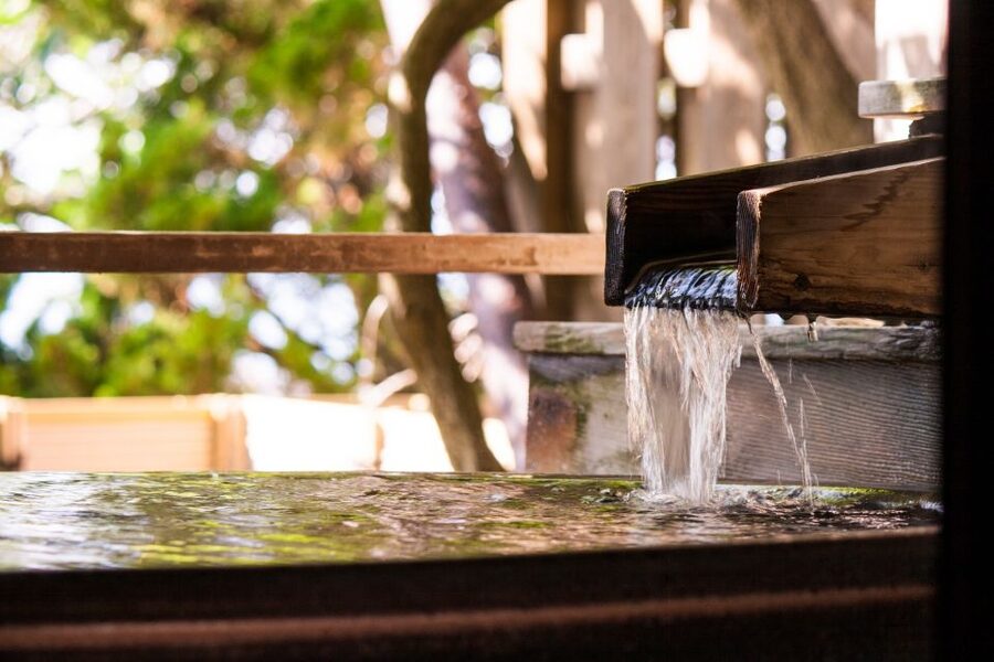 Kyoto: Immersive Arashiyama & Fushimi Inari by Private Car - A short Gion visit gives you Kyoto atmosphere