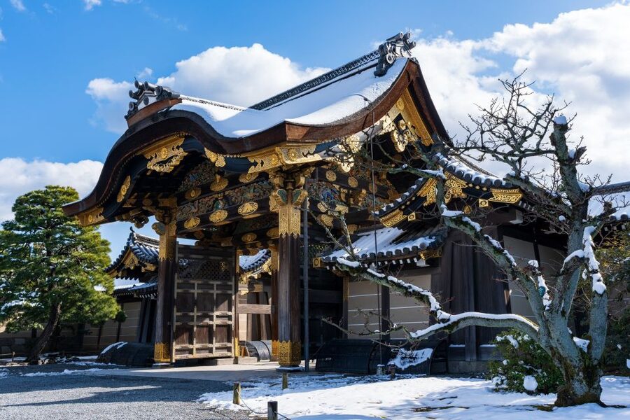 Kyoto: Imperial Palace & Nijo Castle Guided Walking Tour - What the guide adds to the experience