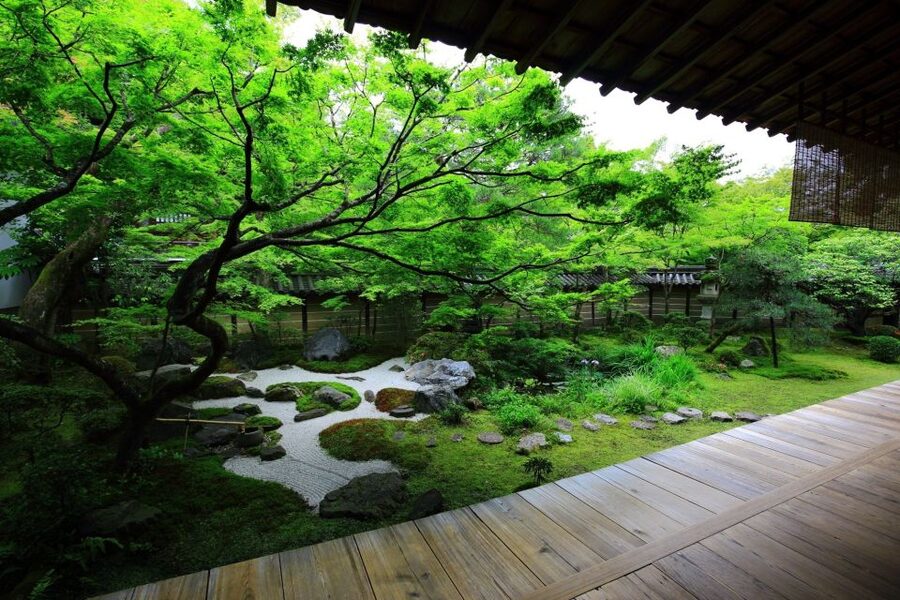 Kyoto: Japanese Gardens Private Customizable Tour - Who will get the most from this tour