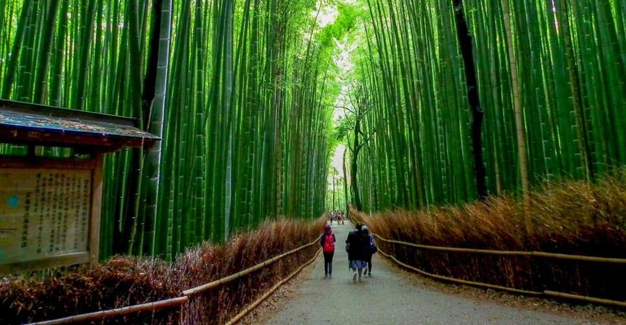 Kyoto: Japanese Gardens Private Customizable Tour - Why Kyoto gardens deserve a full half-day