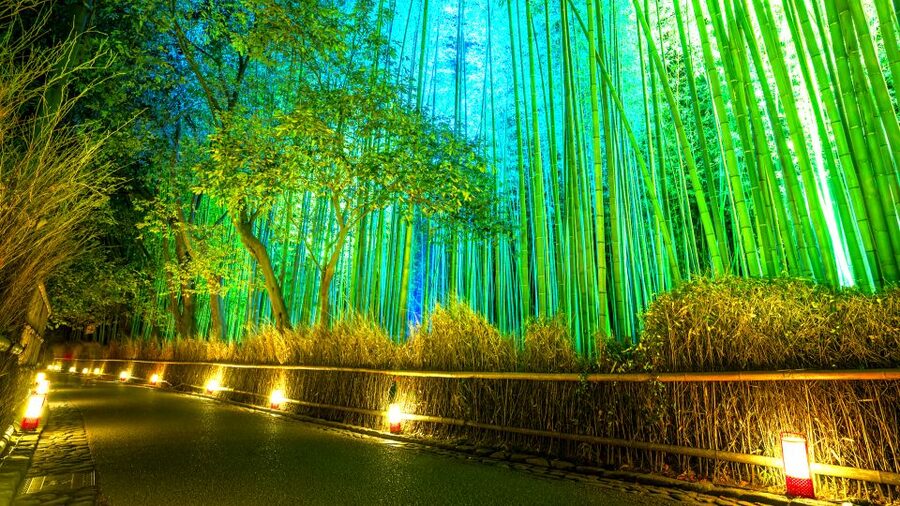 Kyoto: Japanese Gardens Private Customizable Tour - Imperial grounds and formal garden design