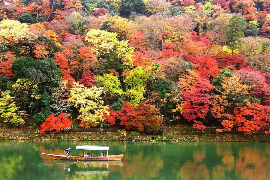 Kyoto: Japanese Gardens Private Customizable Tour - Kokedera, the moss garden option