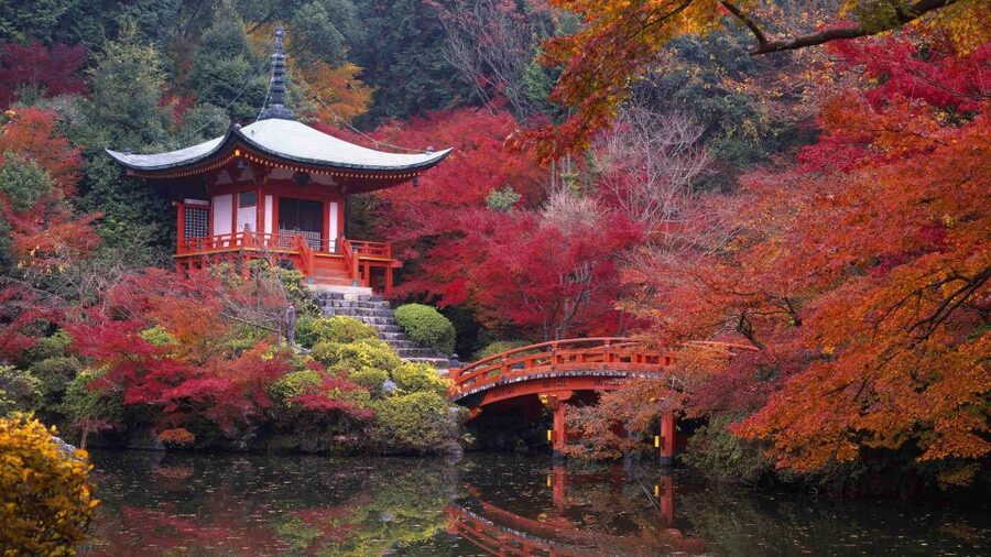 Kyoto: Japanese Gardens Private Customizable Tour - Rain, access, and planning your day