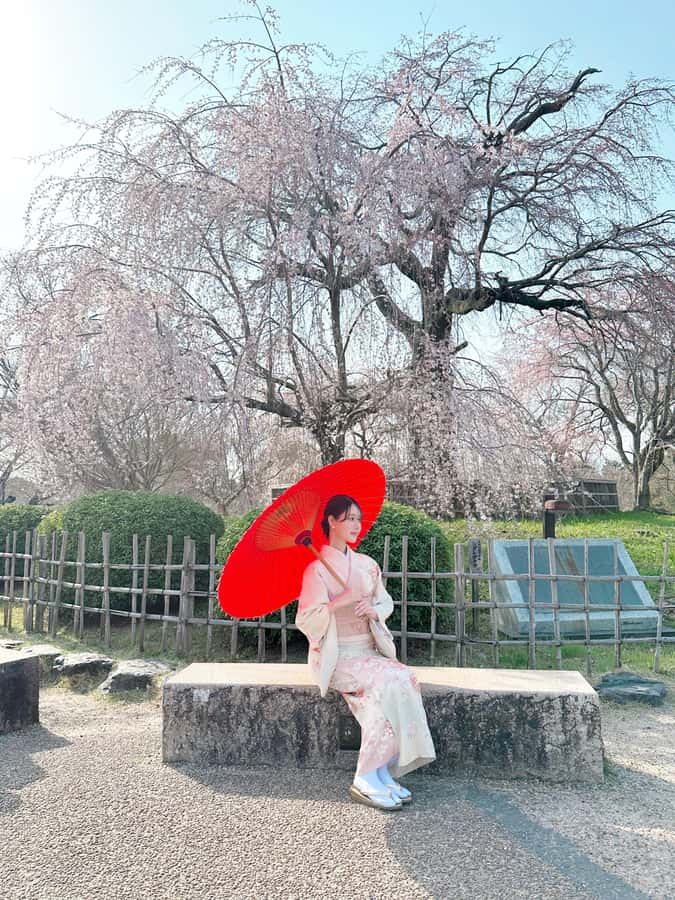 Kyoto: Kimono Rental Traditional Experience at Wargo in Gion - The Deluxe Plan and women’s hairstyling