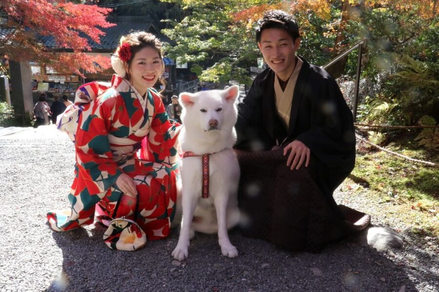 Kyoto: Kimono Rental Traditional Experience at Wargo in Gion - How the $33 price compares with the experience