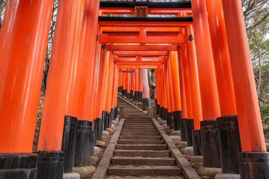 Kyoto: Kiyomizu-dera, Fushimi Inari & Gion Geisha District - Should you book this Kyoto tour?